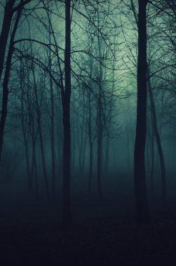 El origen de los vampiros: Transilvania